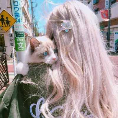 亚虎娱乐下载手机版