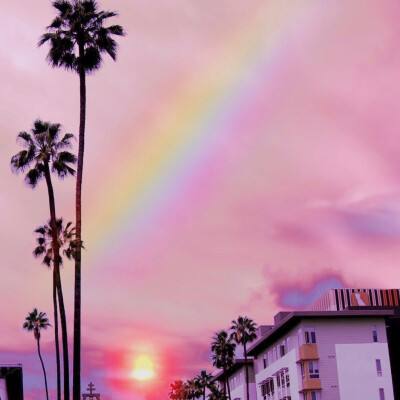 开云体云app截图