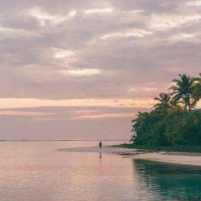 乐鱼app手机app下载