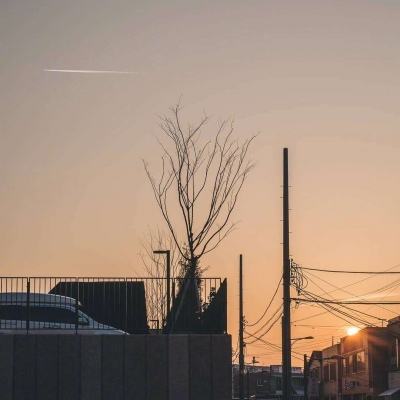 开云体云app截图