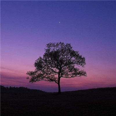 开云体云app截图